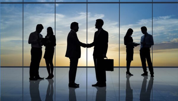 Business and Professional Report